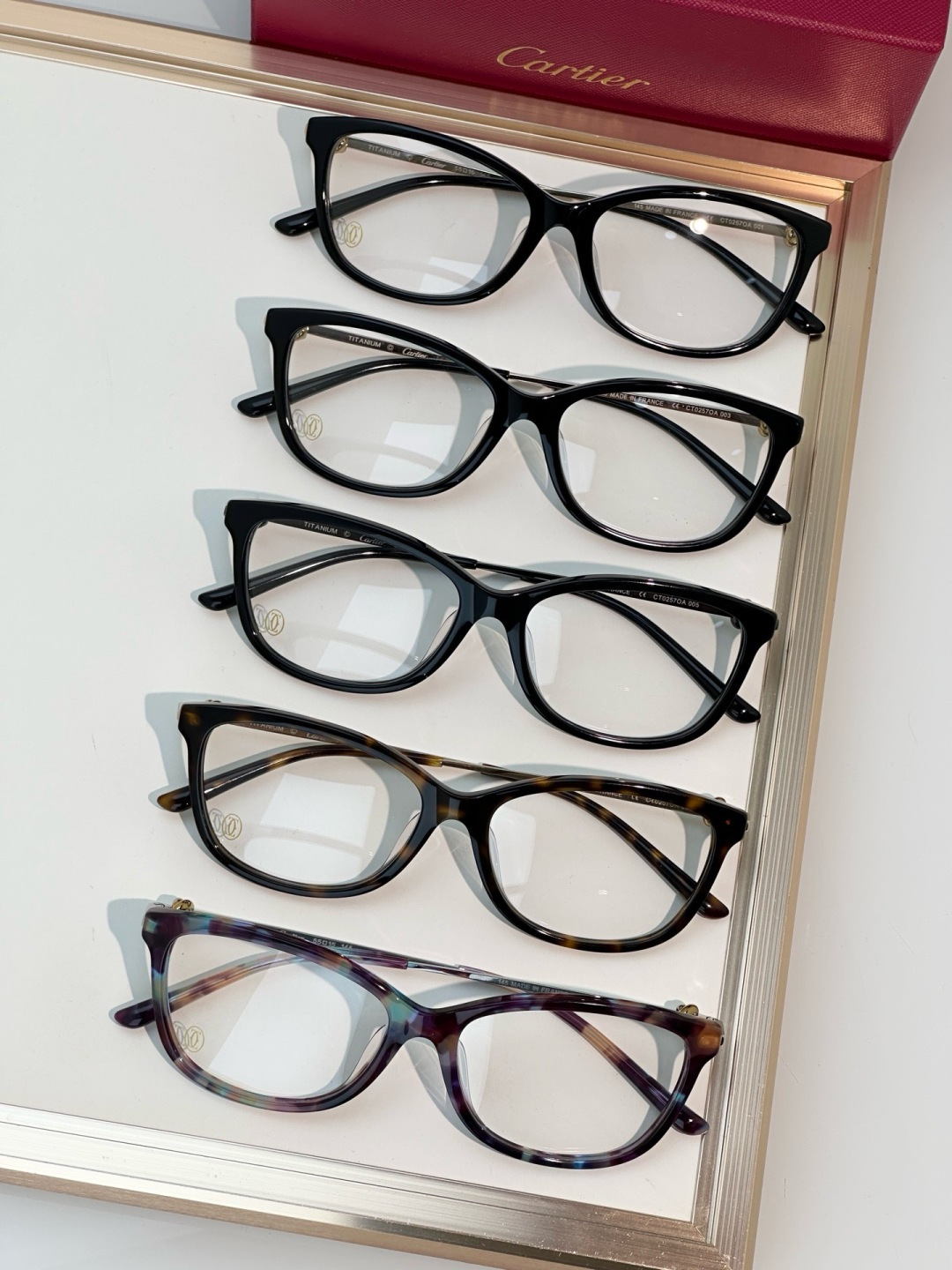 Designer Sunglasses CT0257OA