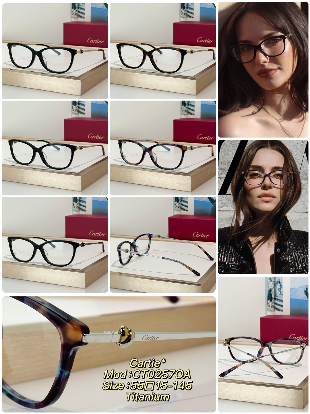 Designer Sunglasses CT0257OA