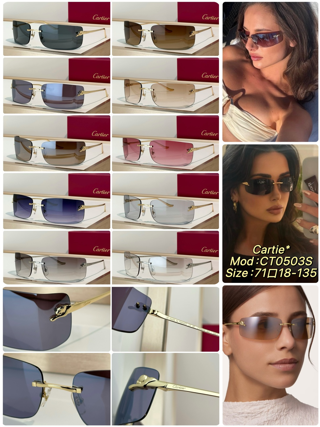 Designer Sunglasses CT0503S