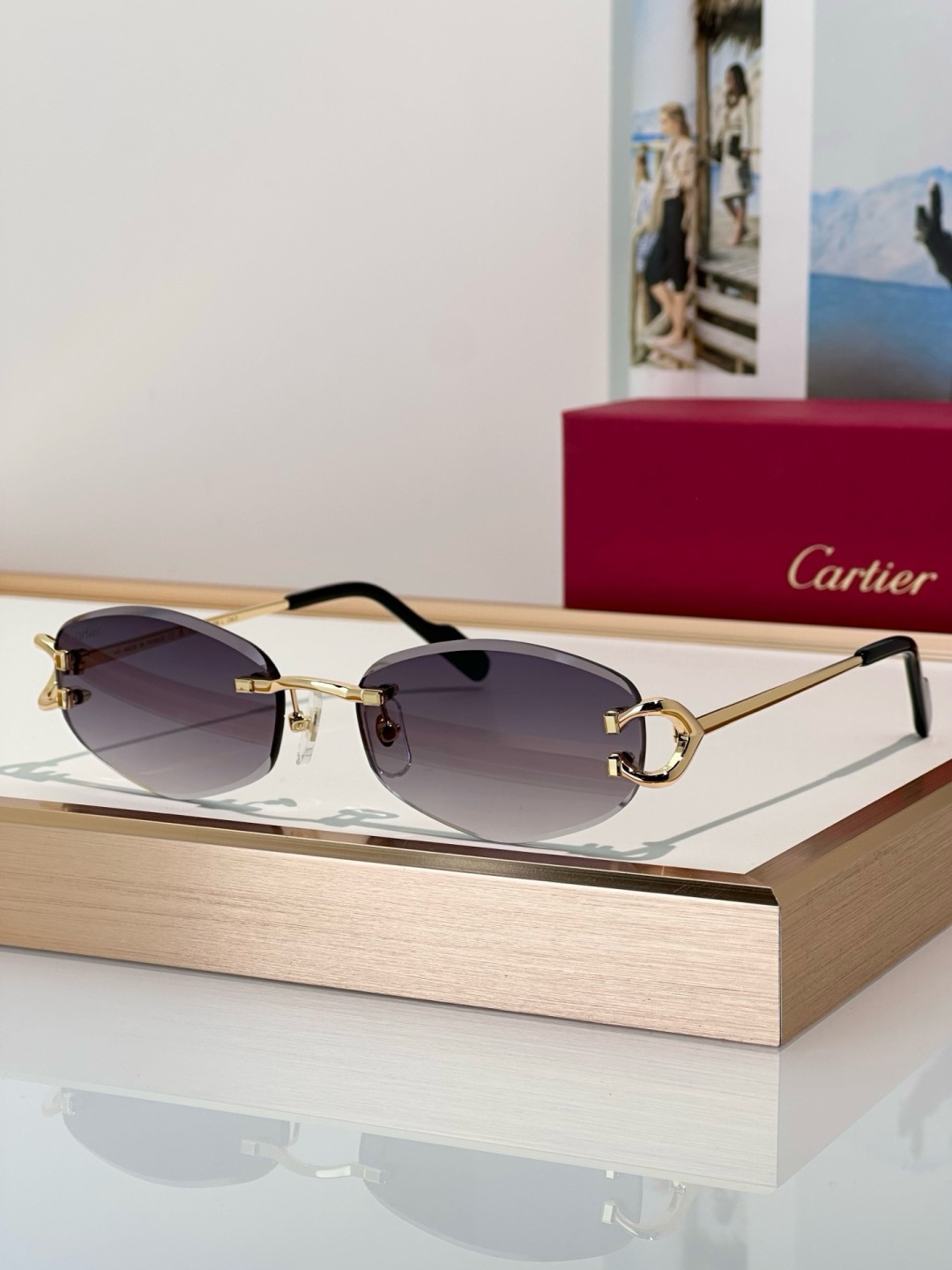 Designer Sunglasses CT0467S