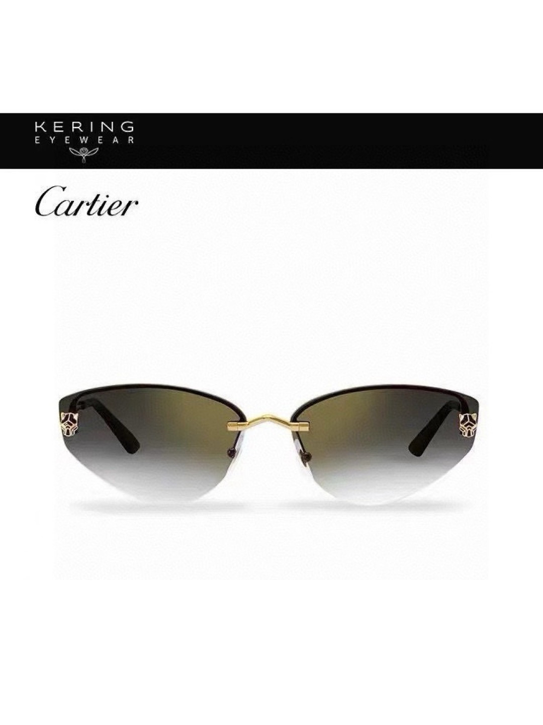 Designer Sunglasses CT0431S