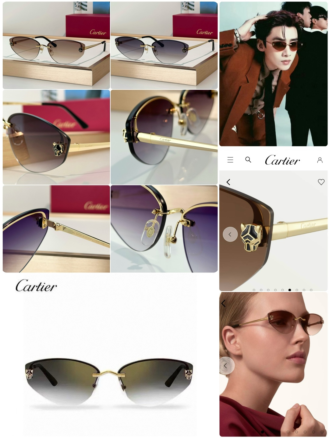 Designer Sunglasses CT0431S
