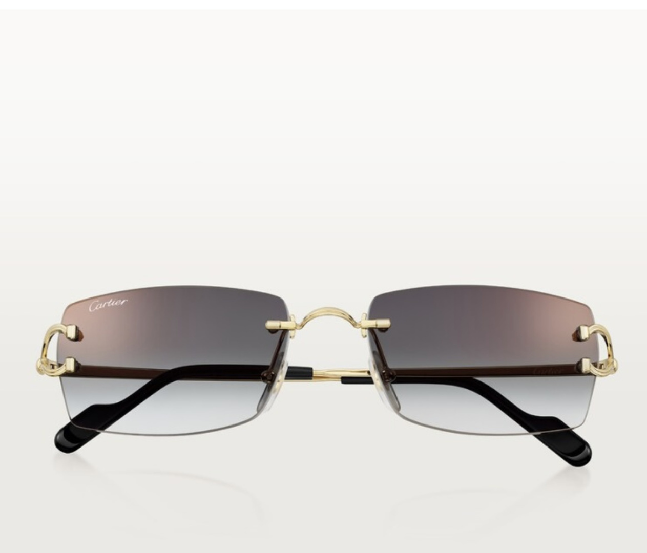 Designer Sunglasses CT0550S