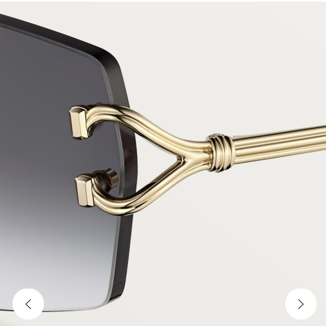 Designer Sunglasses CT0550S