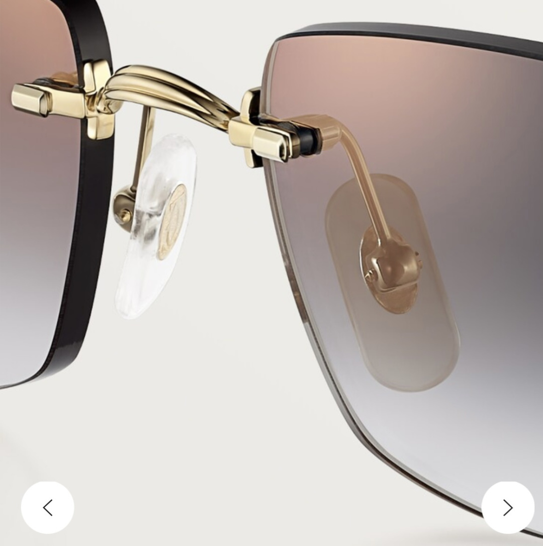 Designer Sunglasses CT0550S
