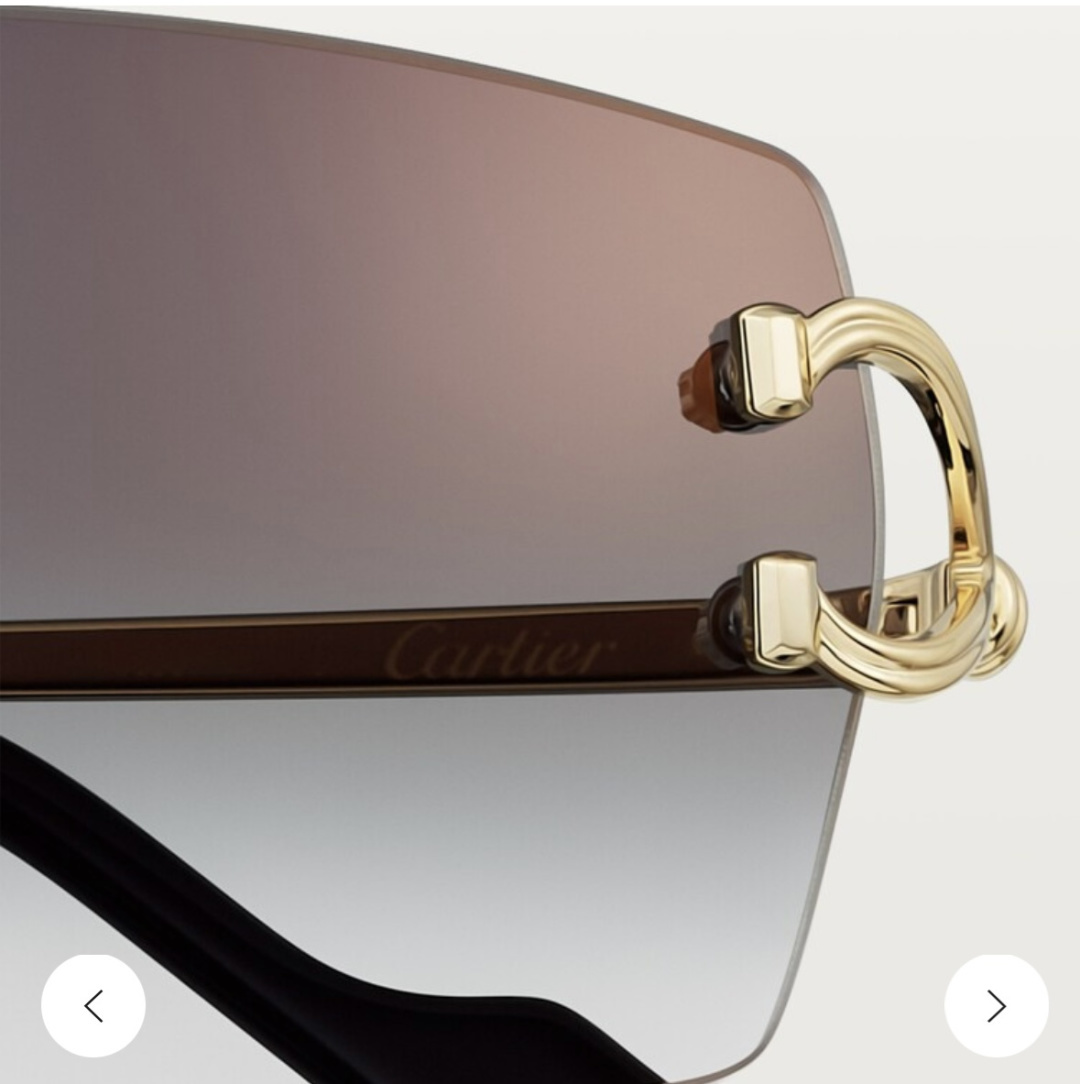 Designer Sunglasses CT0550S