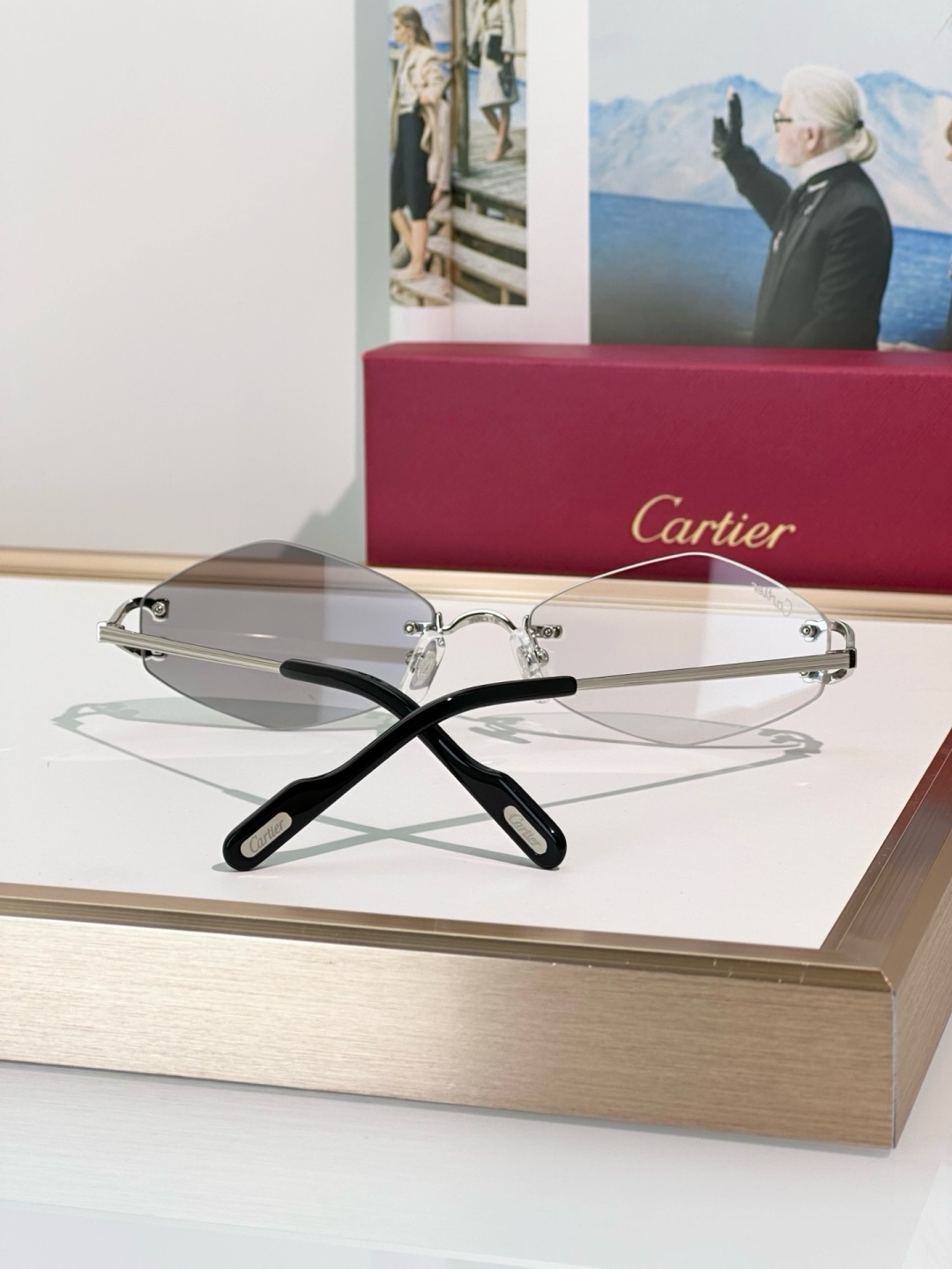 Designer Sunglasses CT0967S