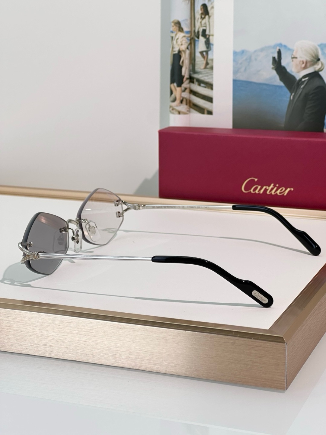 Designer Sunglasses CT0967S
