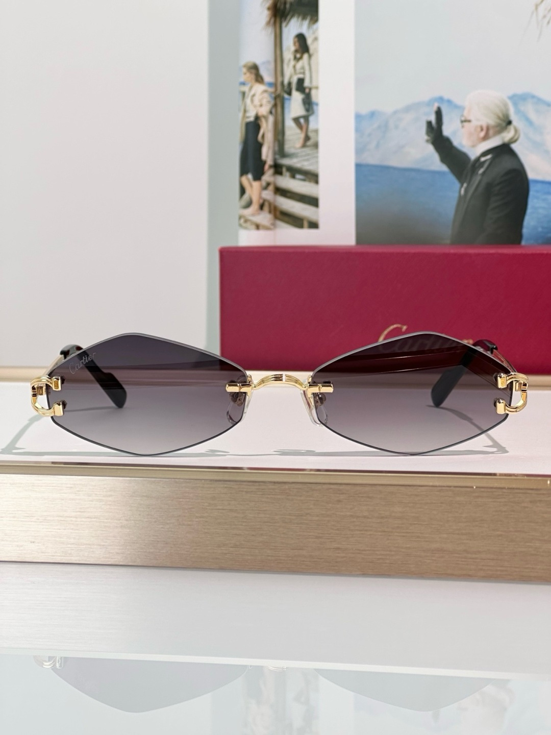 Designer Sunglasses CT0967S