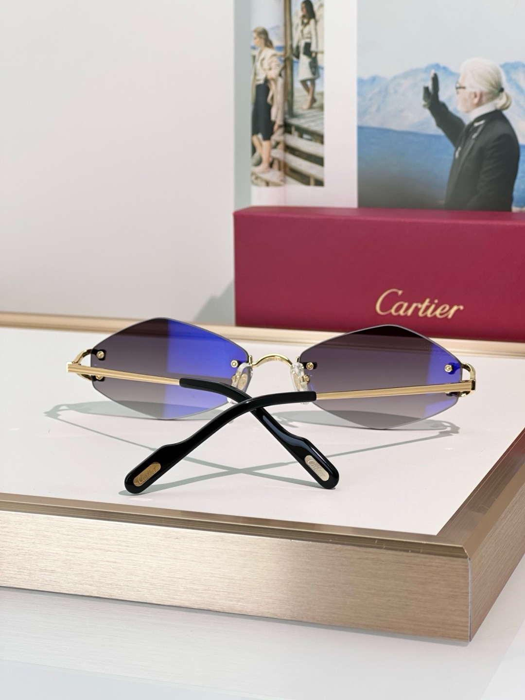 Designer Sunglasses CT0967S