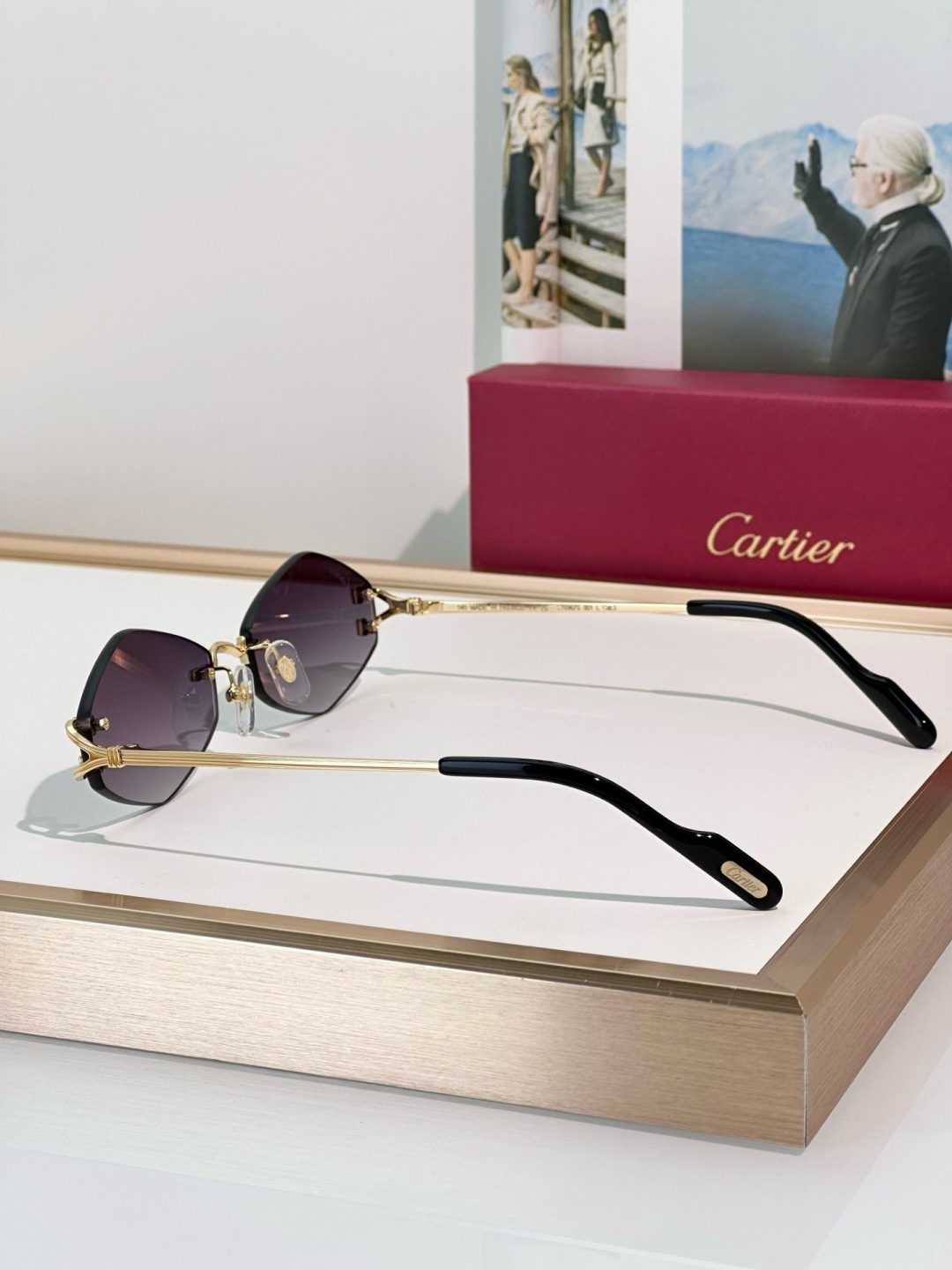 Designer Sunglasses CT0967S