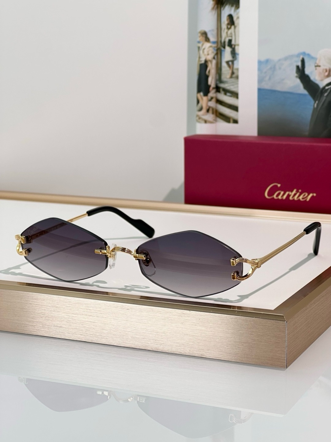 Designer Sunglasses CT0967S