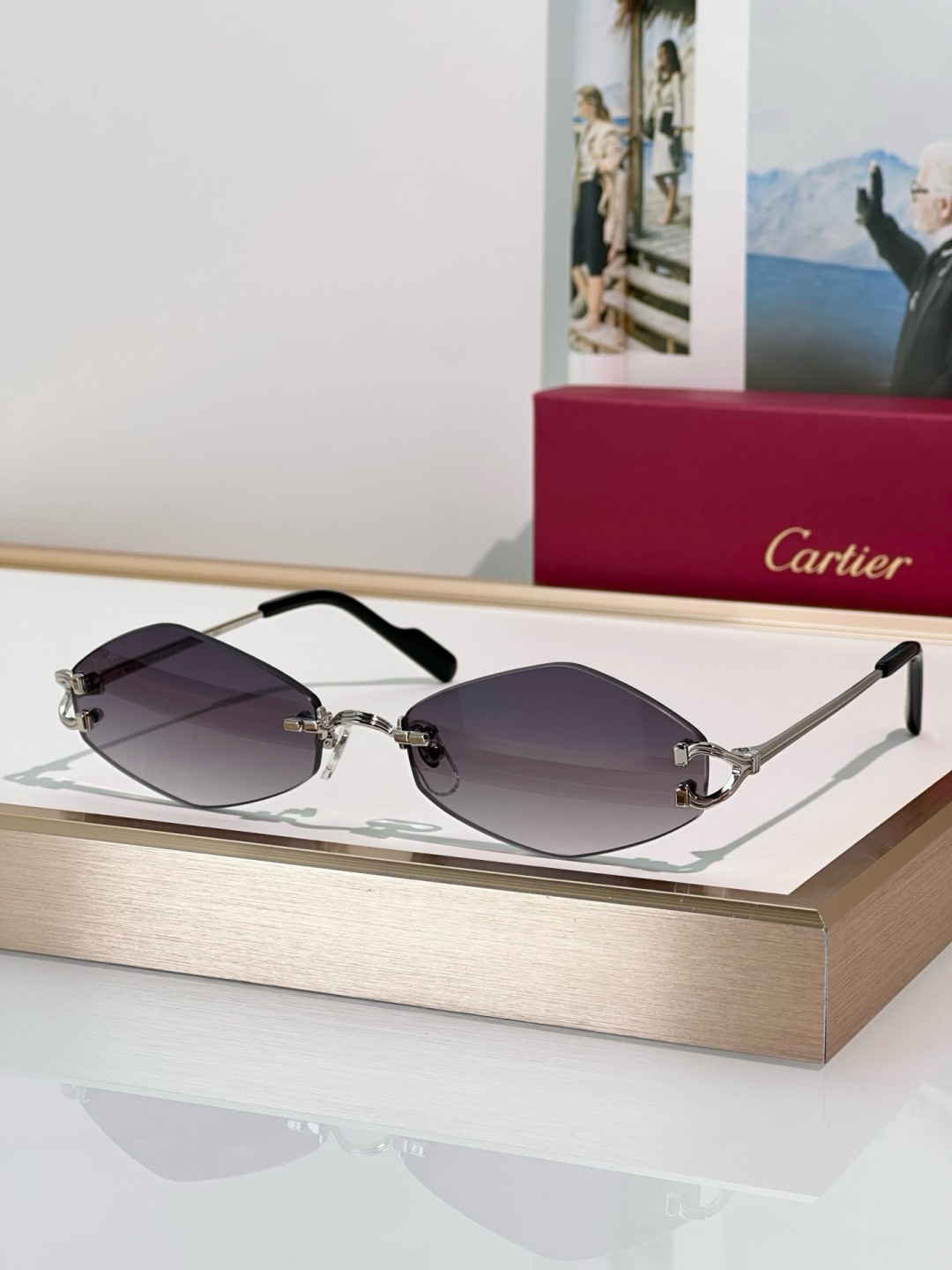 Designer Sunglasses CT0967S