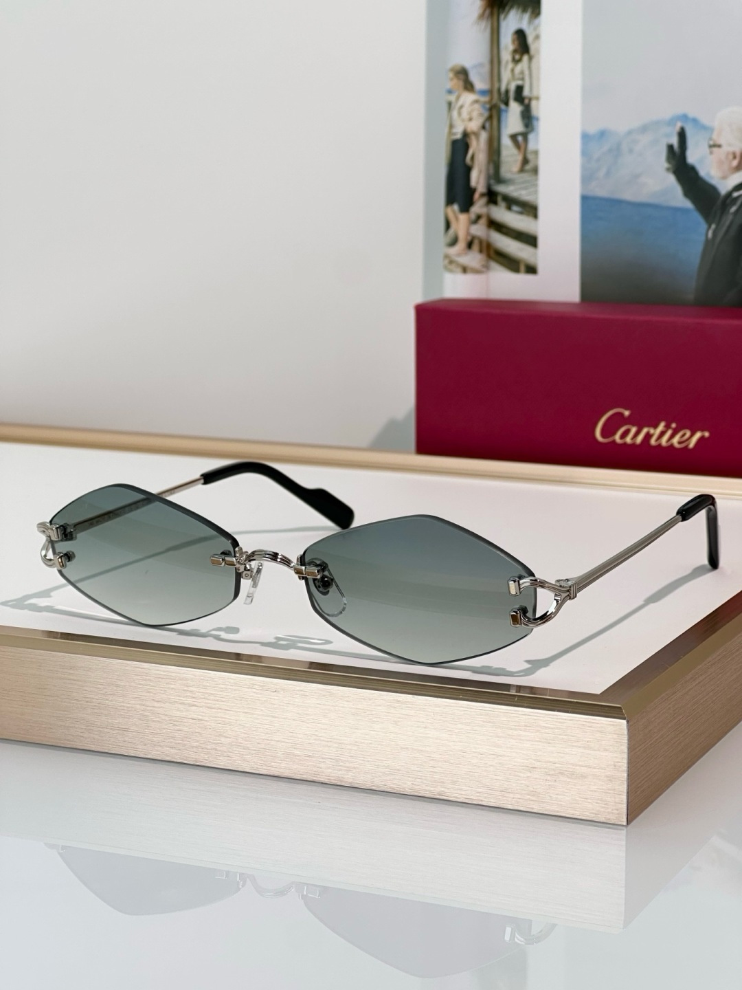 Designer Sunglasses CT0967S
