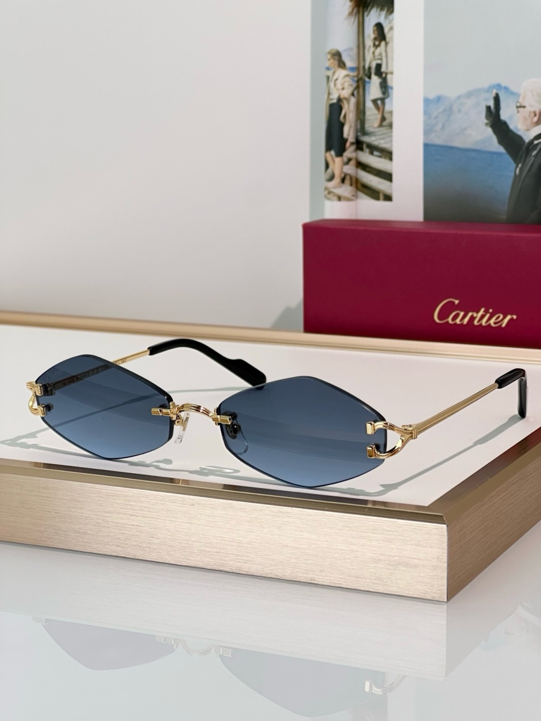 Designer Sunglasses CT0967S
