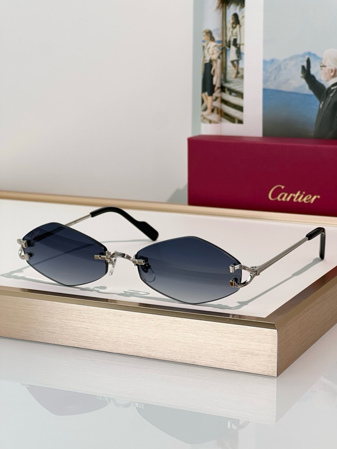 Designer Sunglasses CT0967S