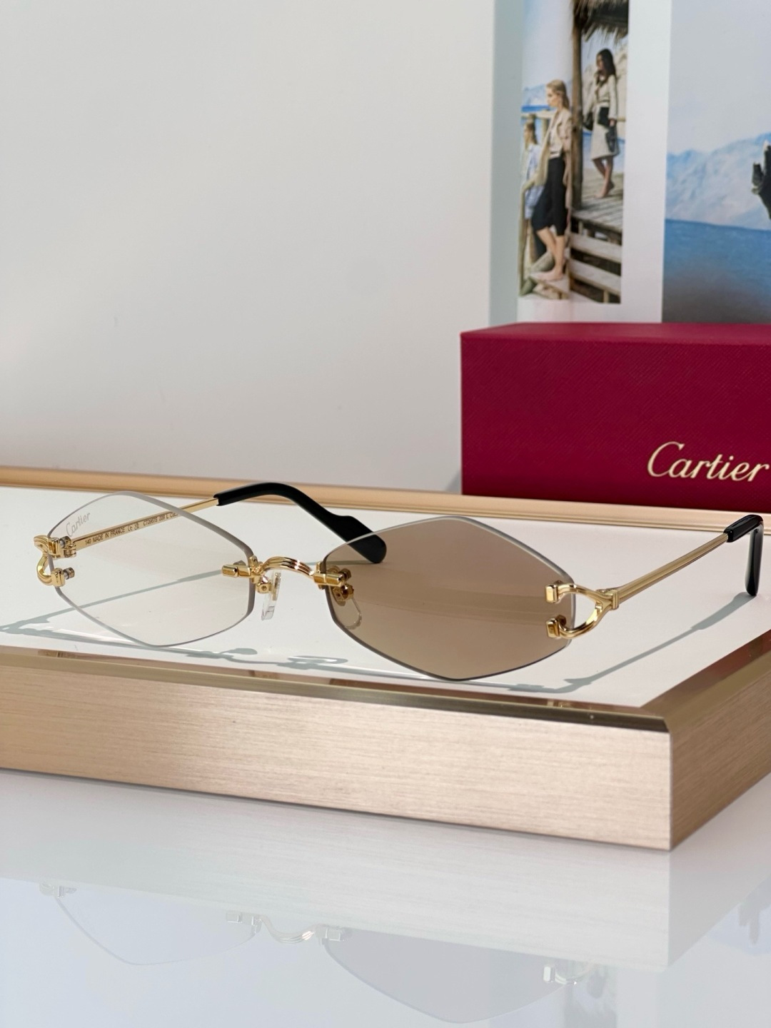 Designer Sunglasses CT0967S