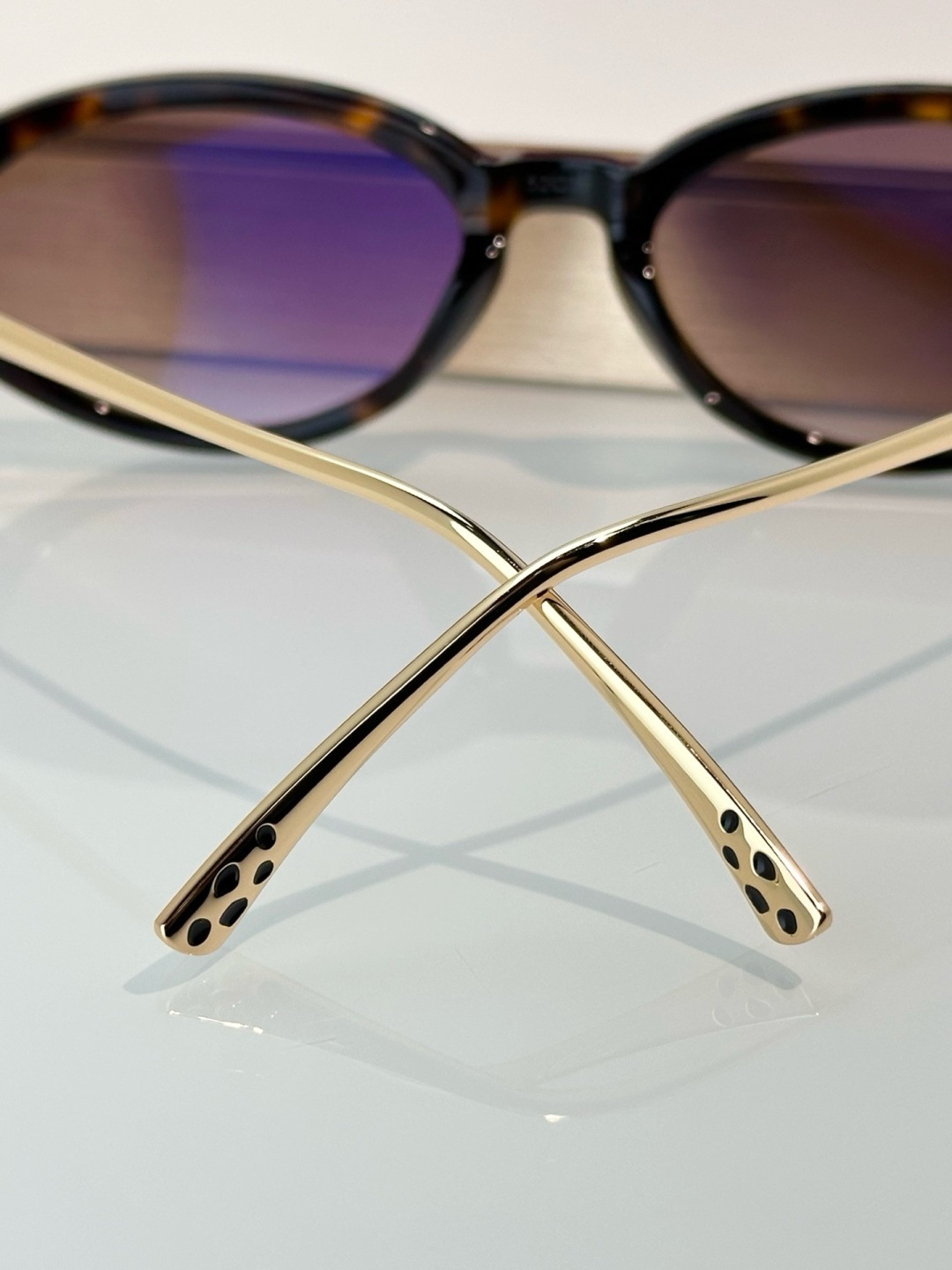 Designer Sunglasses CT0634S