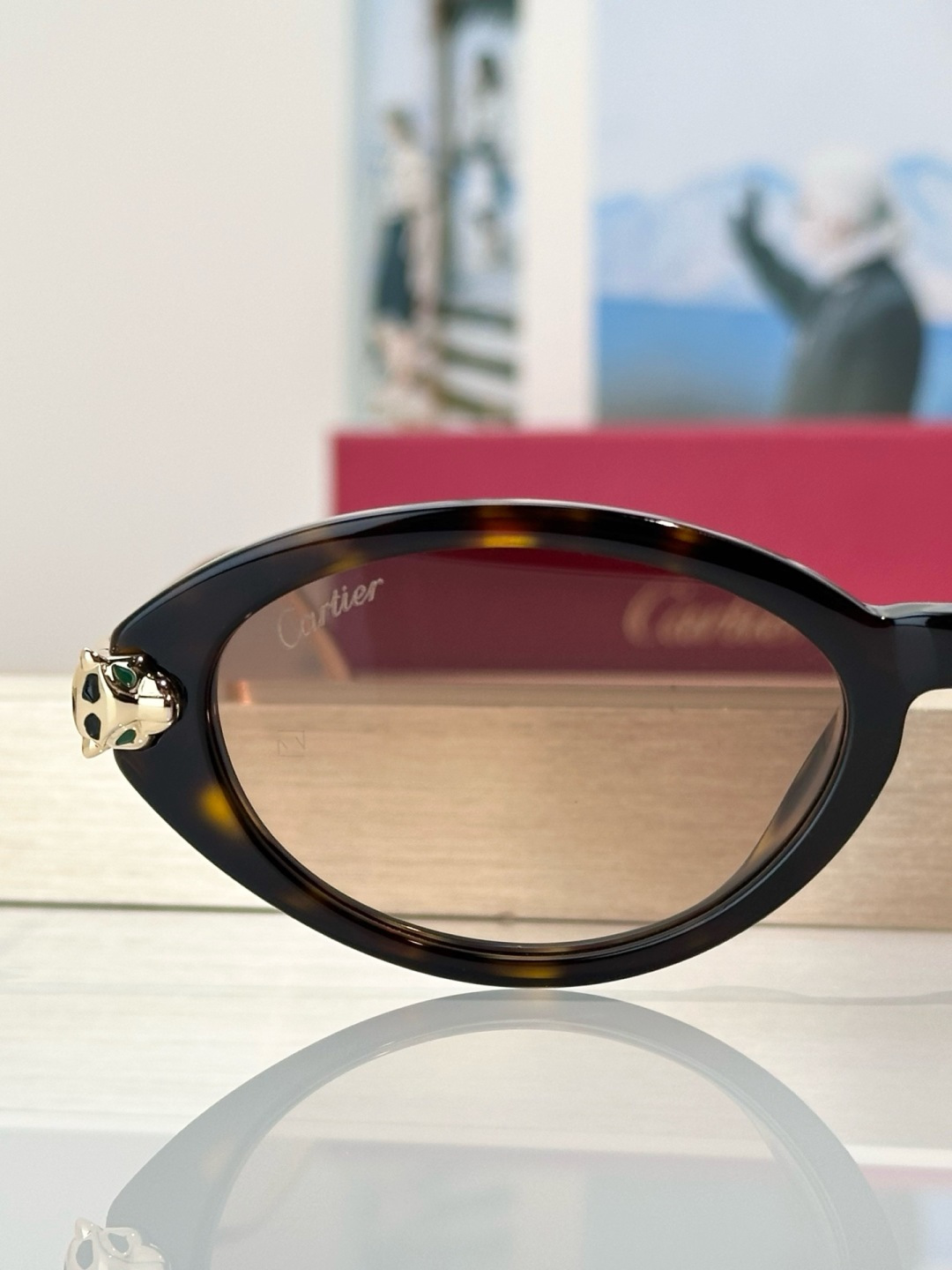 Designer Sunglasses CT0634S