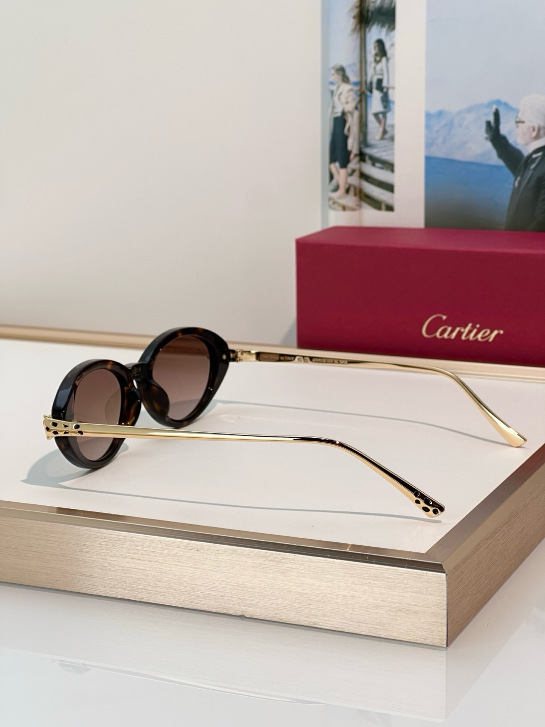 Designer Sunglasses CT0634S