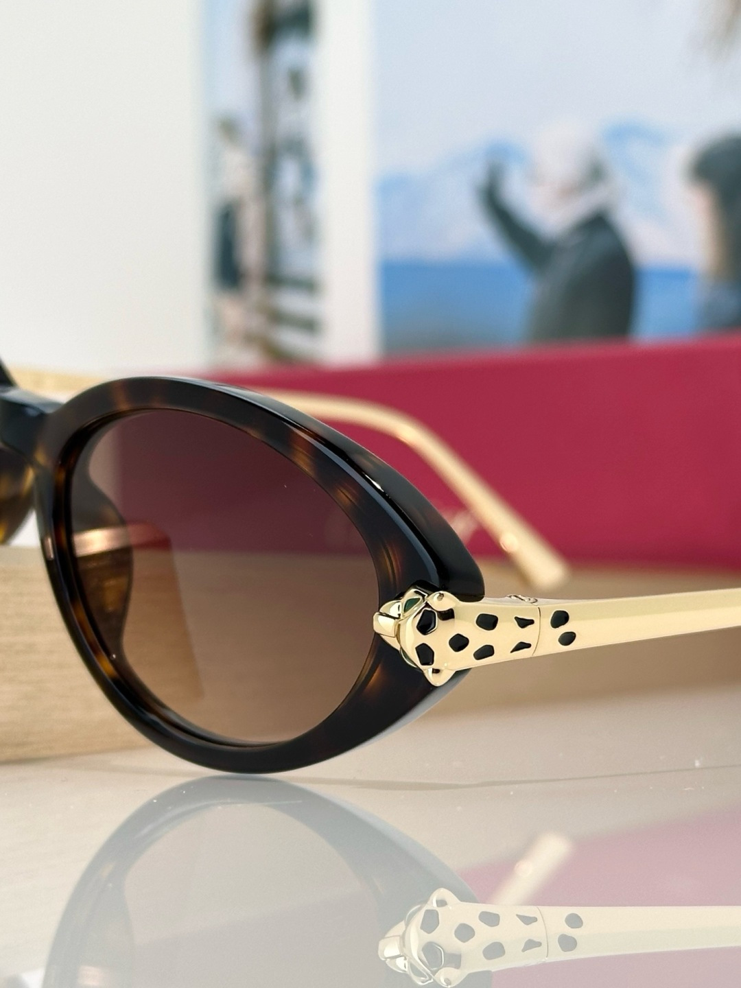 Designer Sunglasses CT0634S