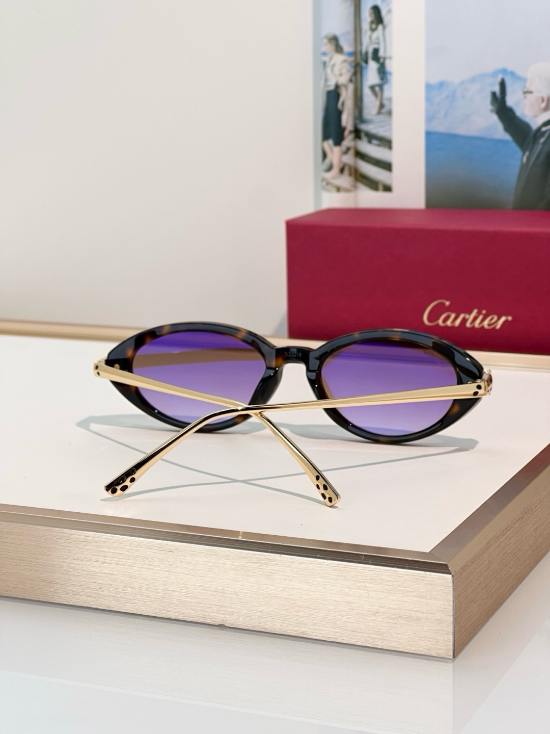 Designer Sunglasses CT0634S
