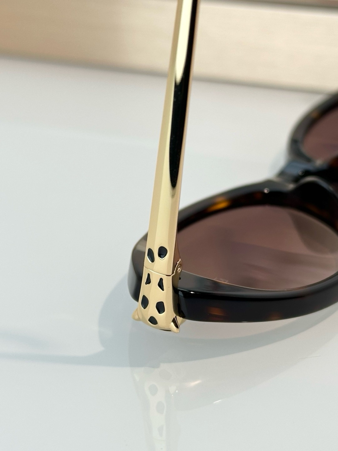 Designer Sunglasses CT0634S