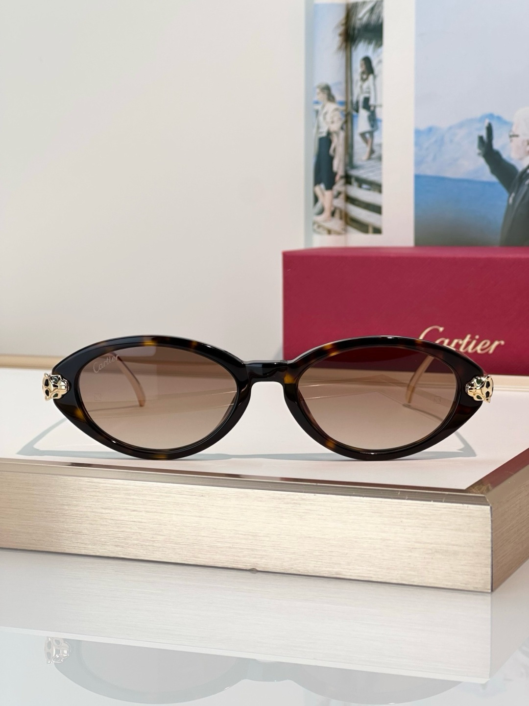 Designer Sunglasses CT0634S