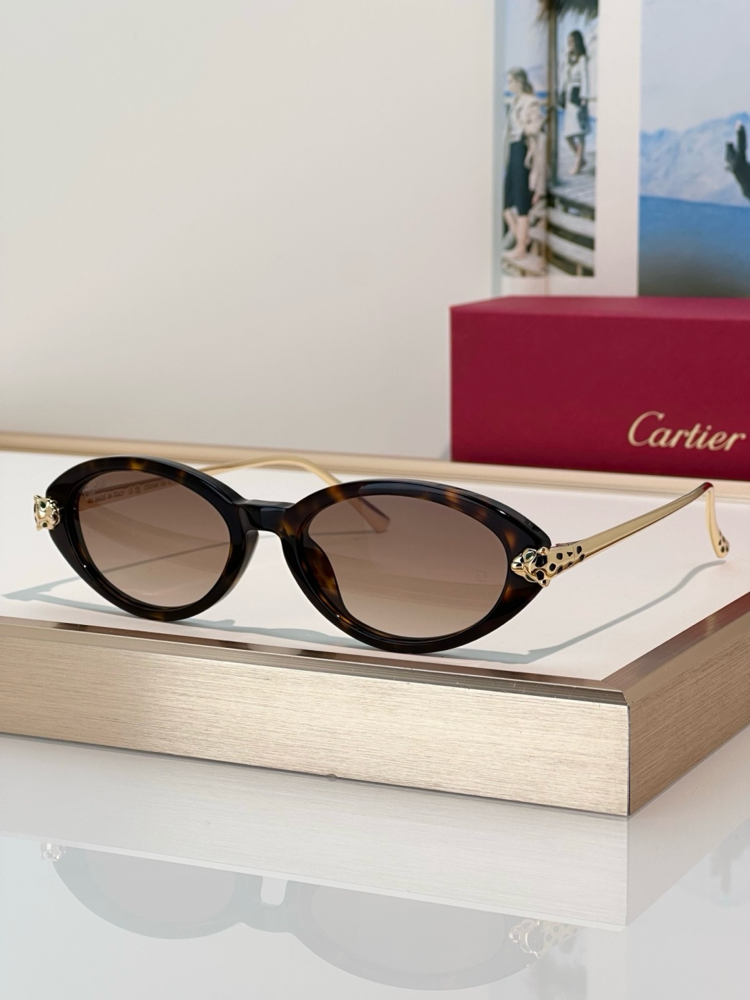 Designer Sunglasses CT0634S