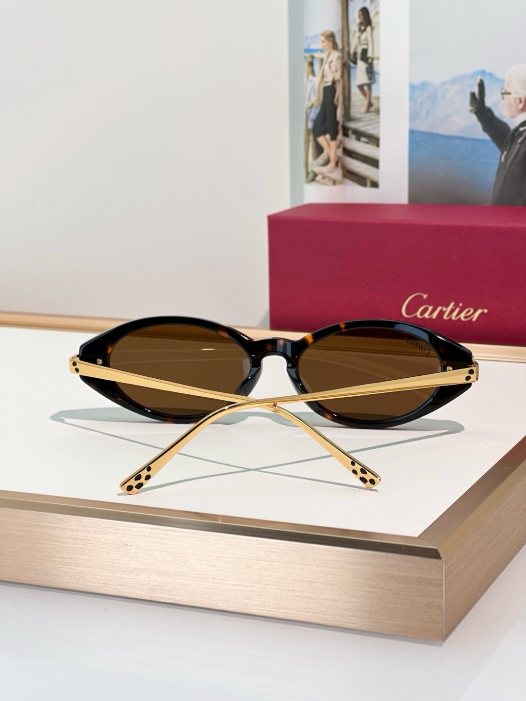 Designer Sunglasses CT0634S
