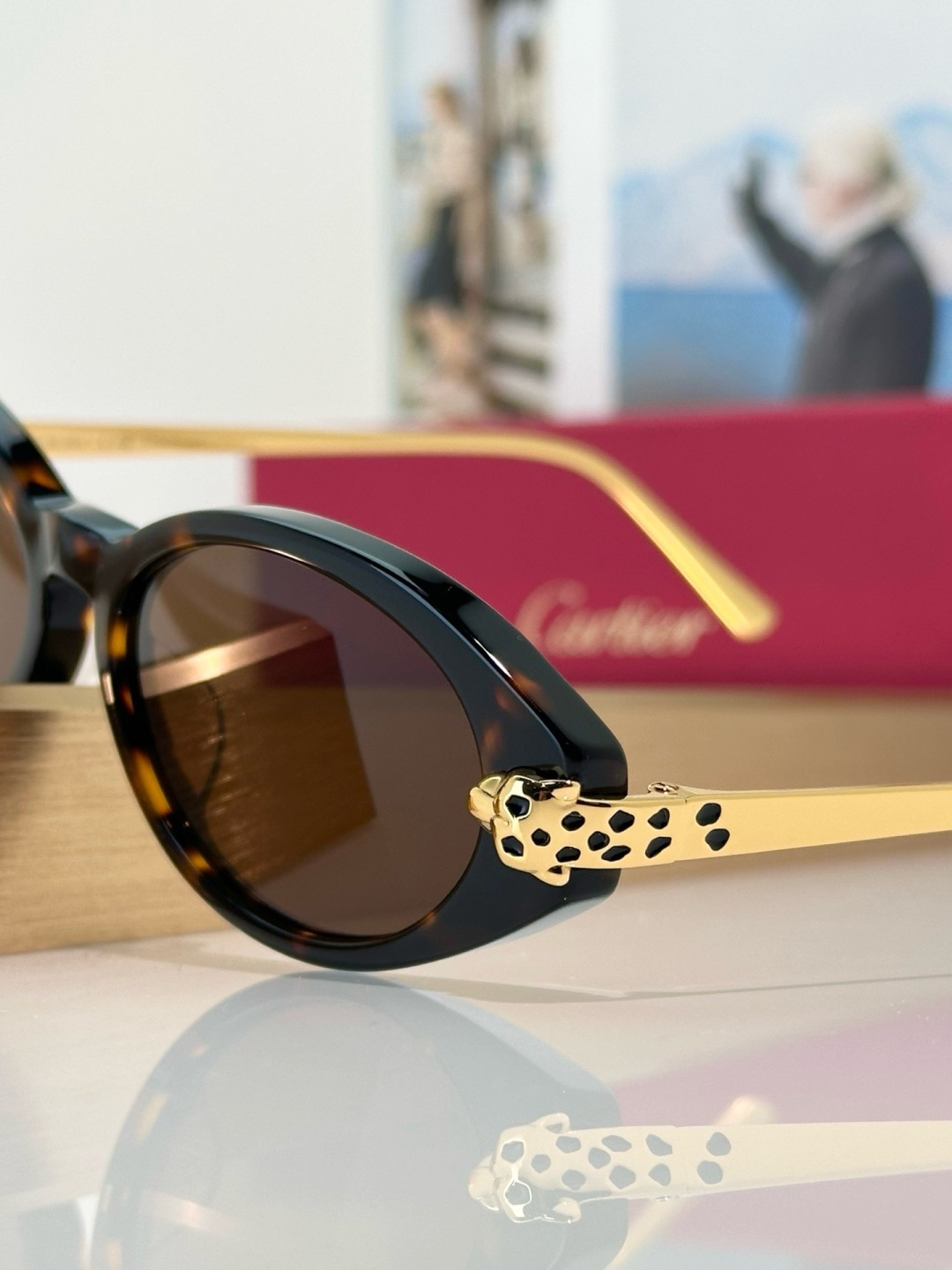 Designer Sunglasses CT0634S