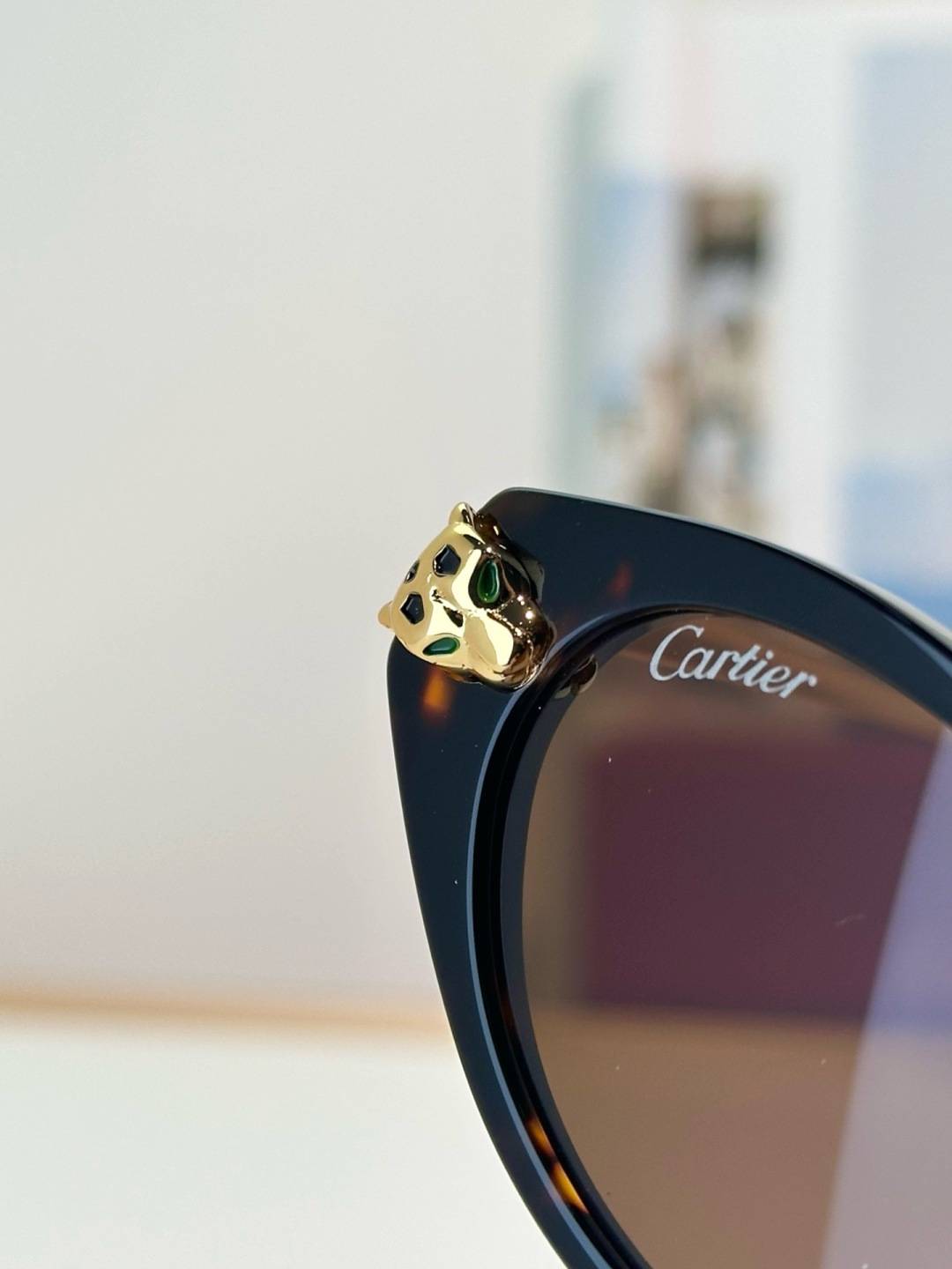 Designer Sunglasses CT0634S