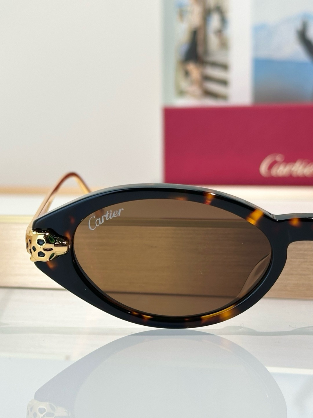 Designer Sunglasses CT0634S