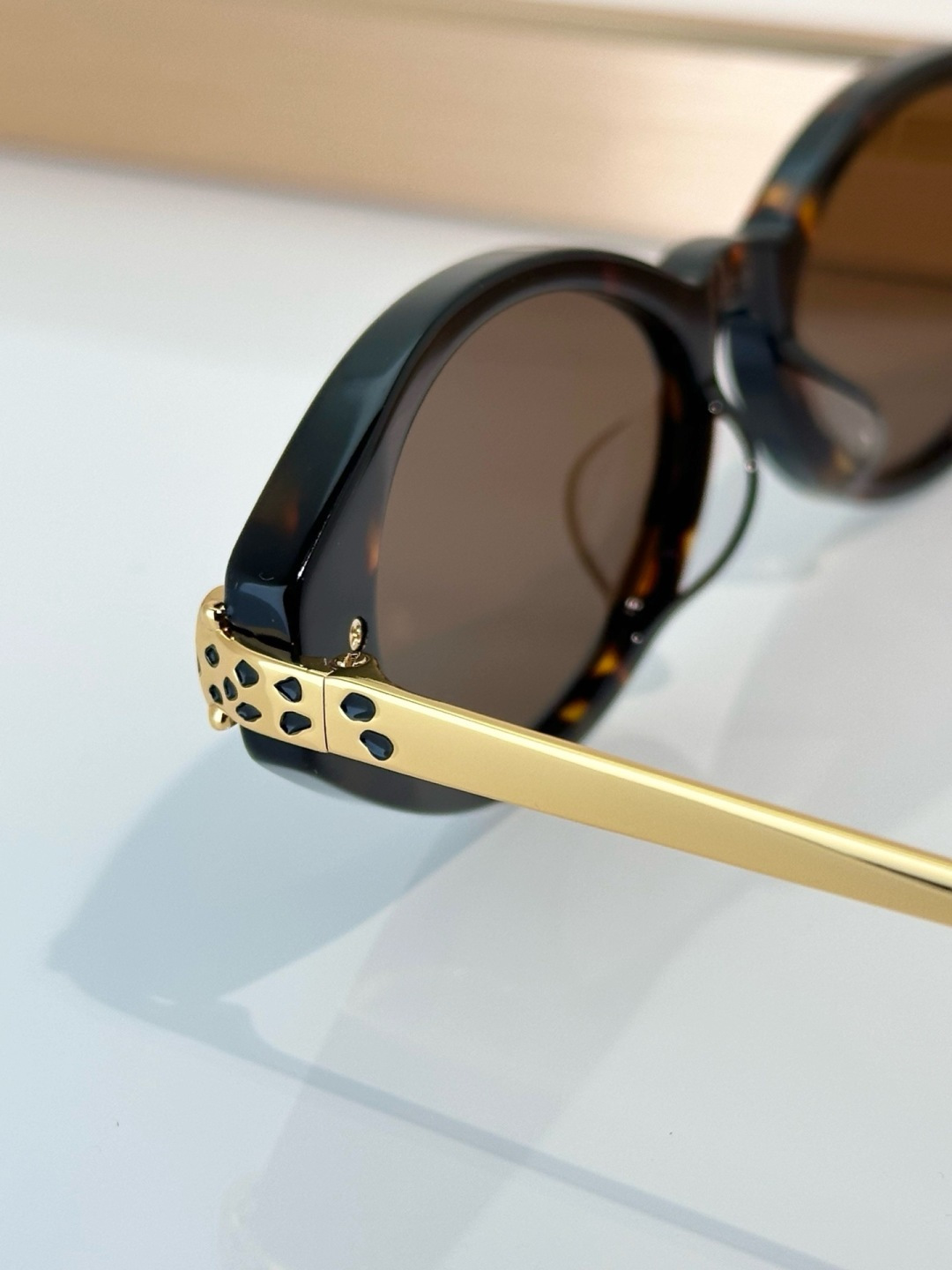 Designer Sunglasses CT0634S