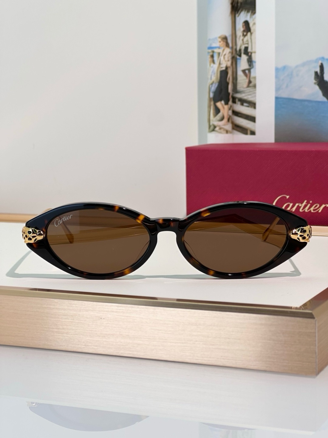 Designer Sunglasses CT0634S