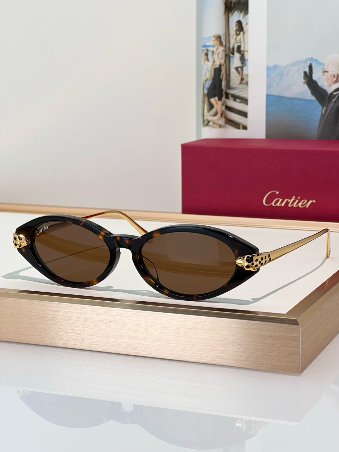 Designer Sunglasses CT0634S