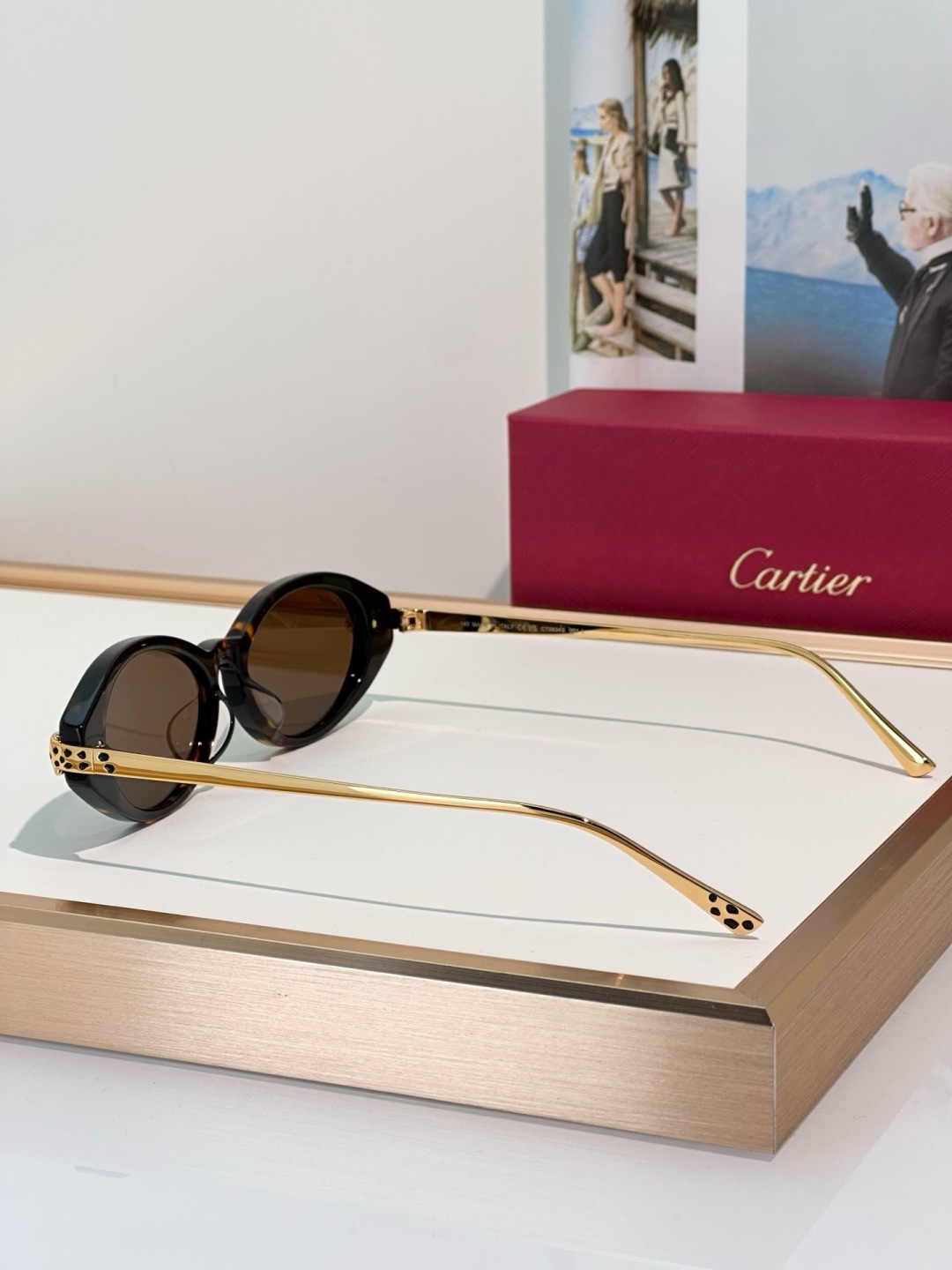 Designer Sunglasses CT0634S