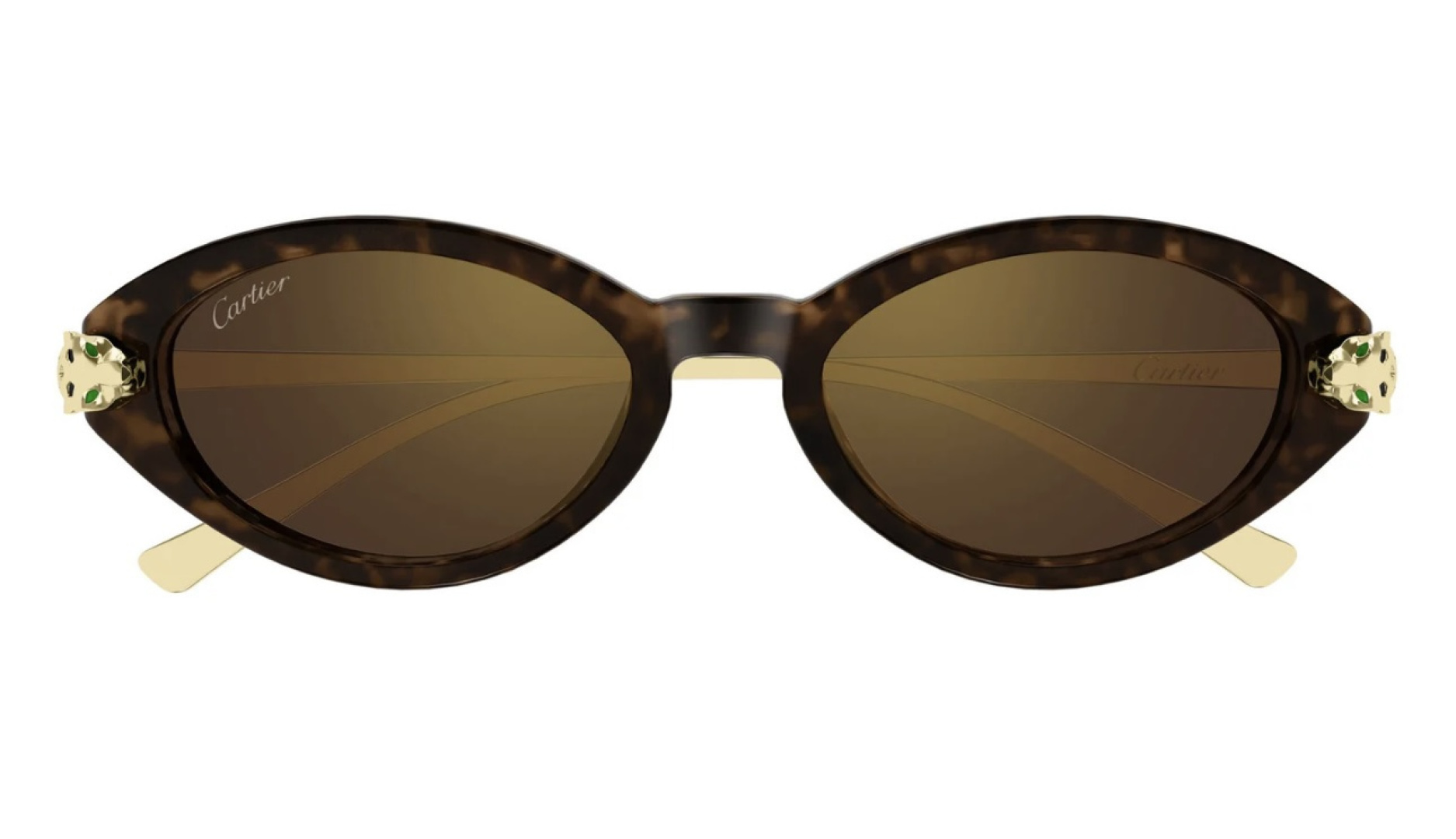 Designer Sunglasses CT0634S