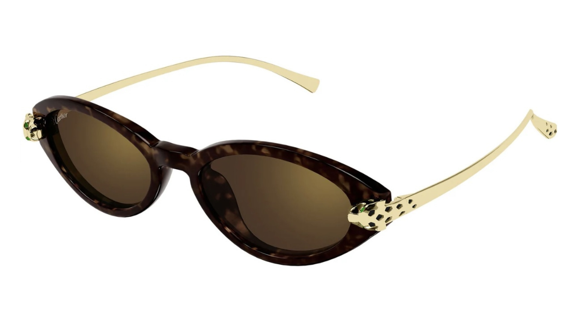 Designer Sunglasses CT0634S