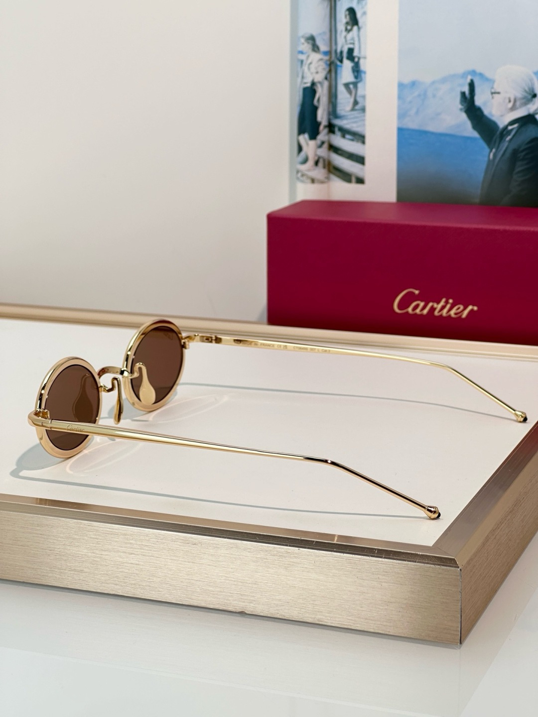 Designer Sunglasses CT0649S