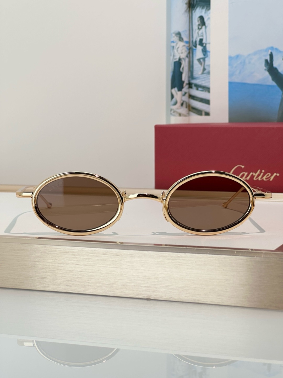 Designer Sunglasses CT0649S