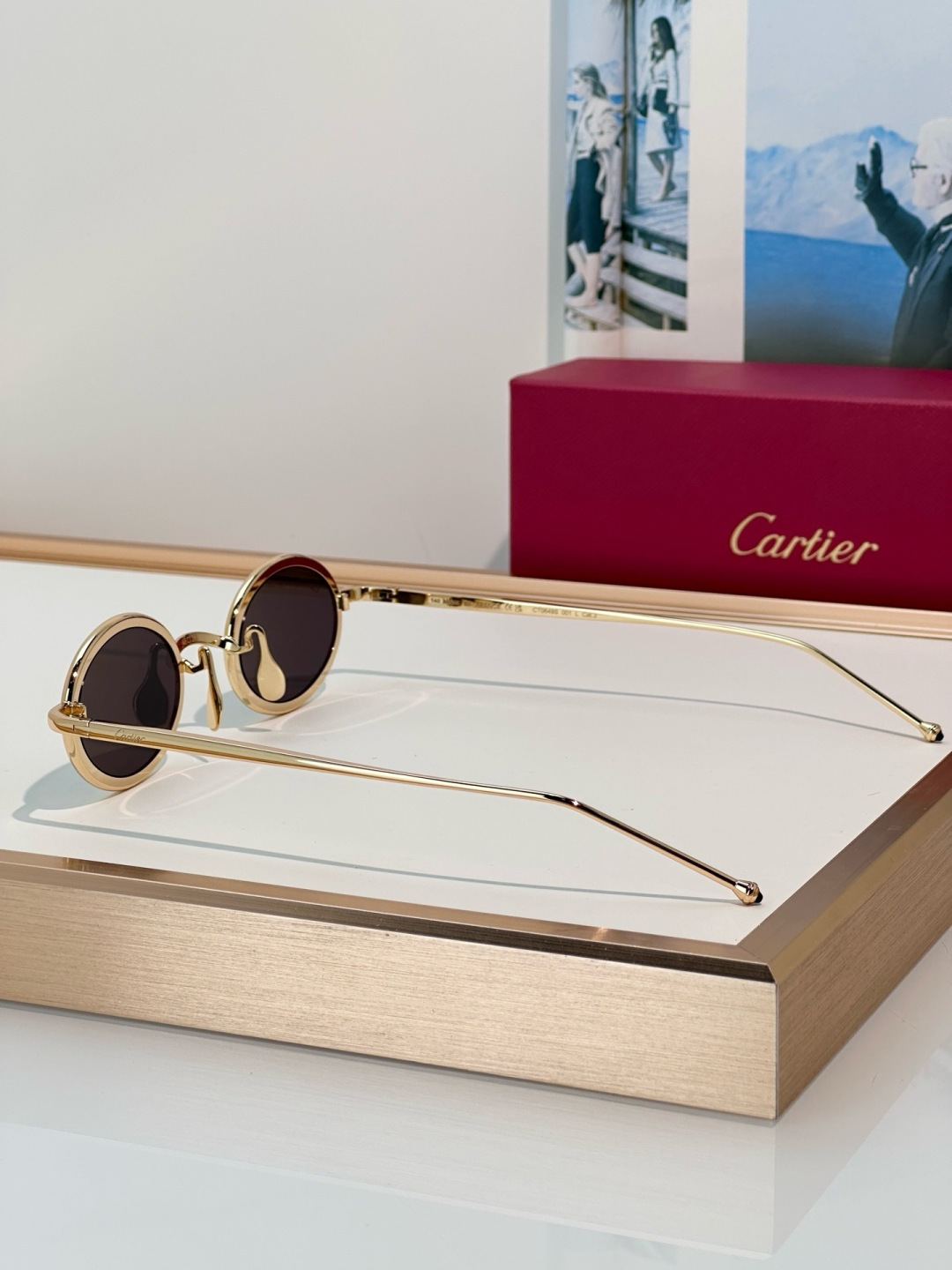 Designer Sunglasses CT0649S