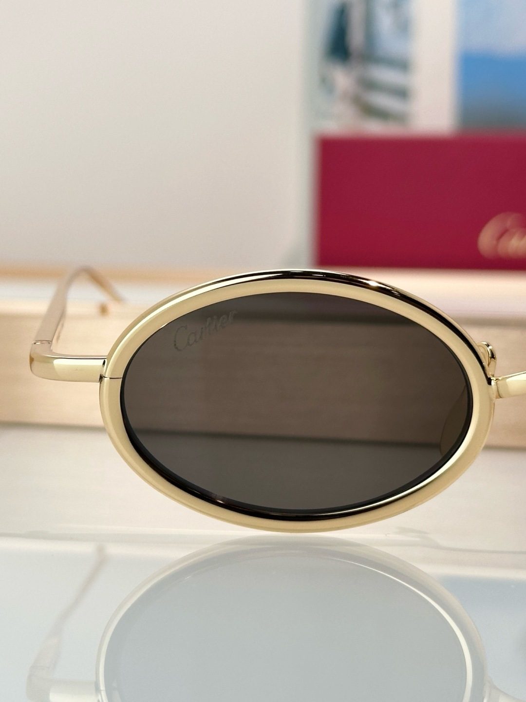 Designer Sunglasses CT0649S