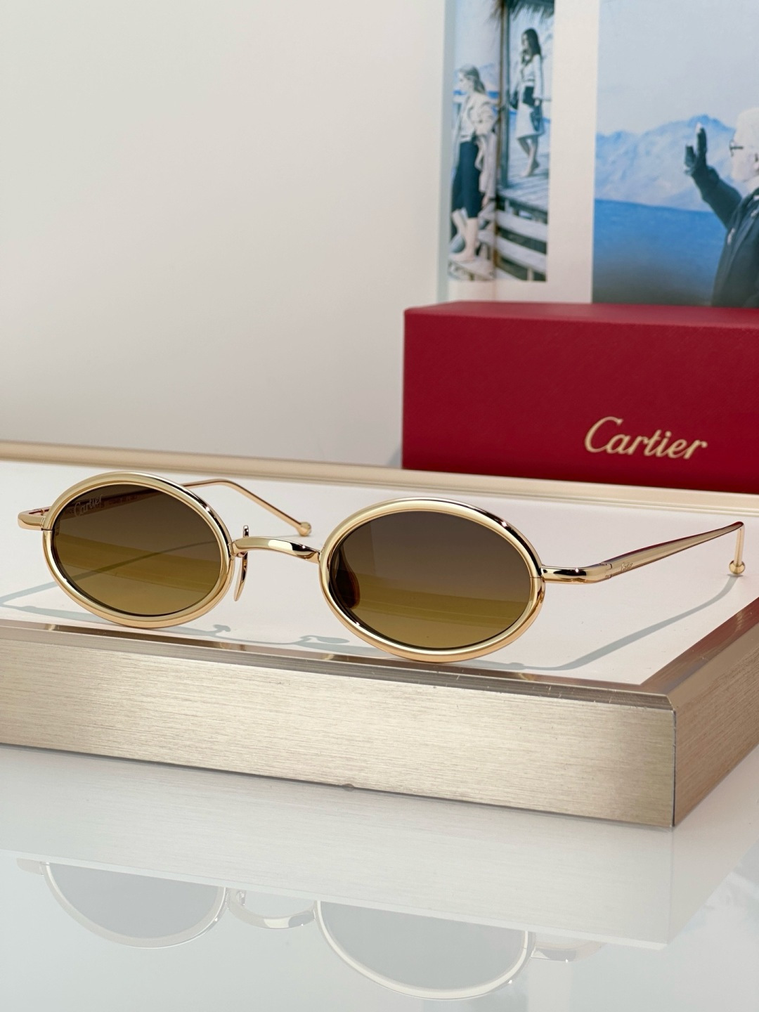 Designer Sunglasses CT0649S