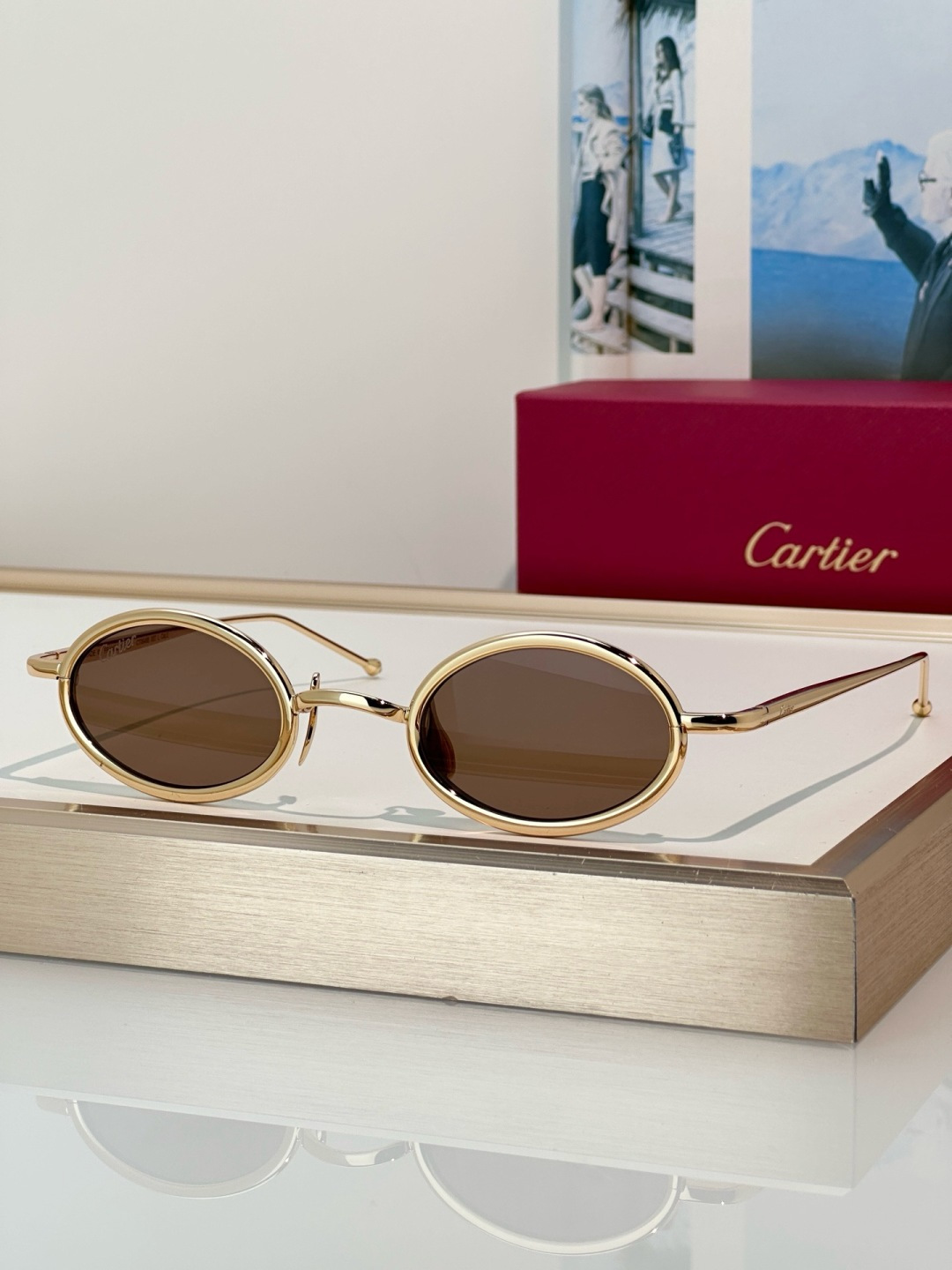 Designer Sunglasses CT0649S
