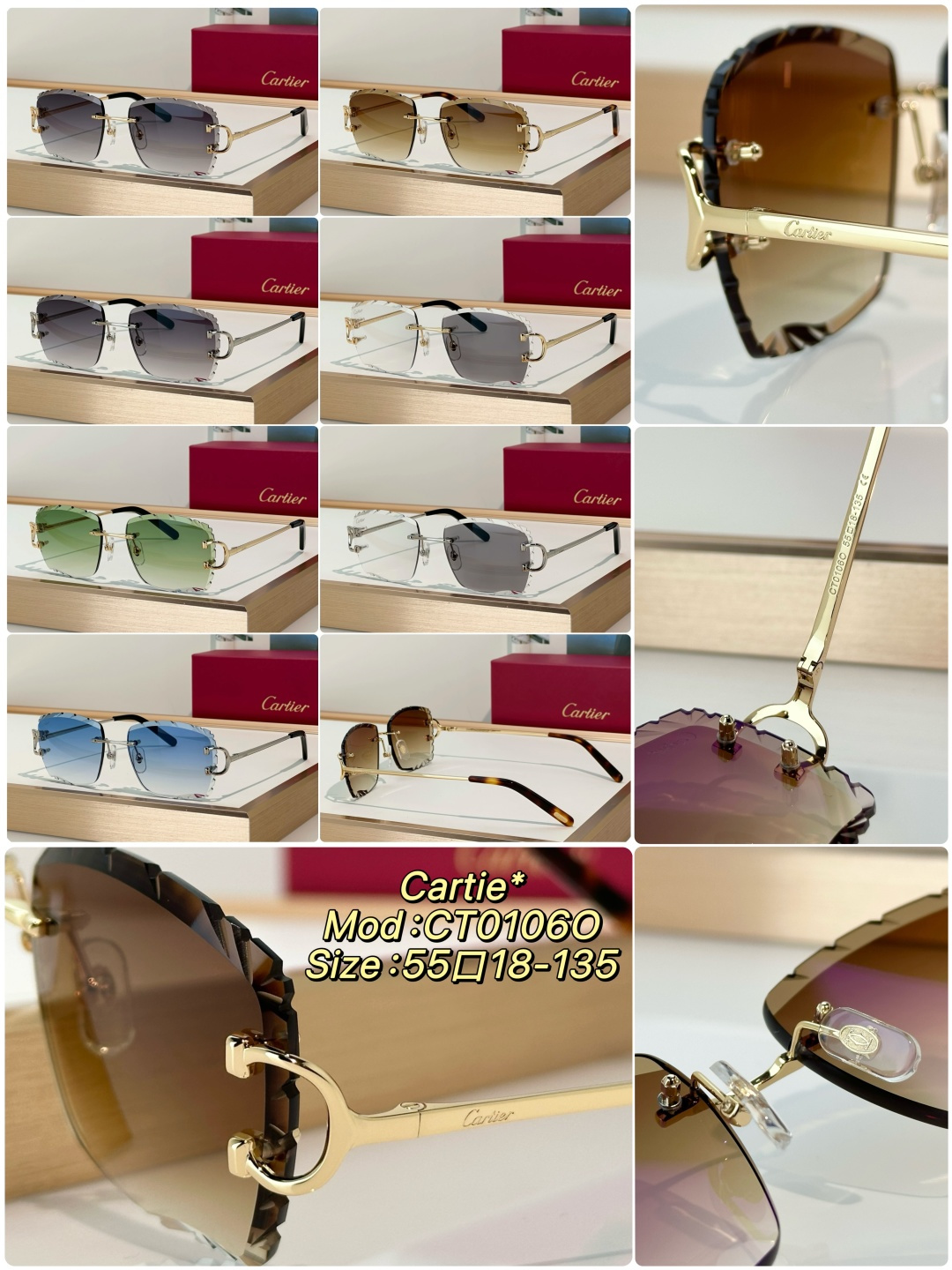 Designer Sunglasses CT0106O