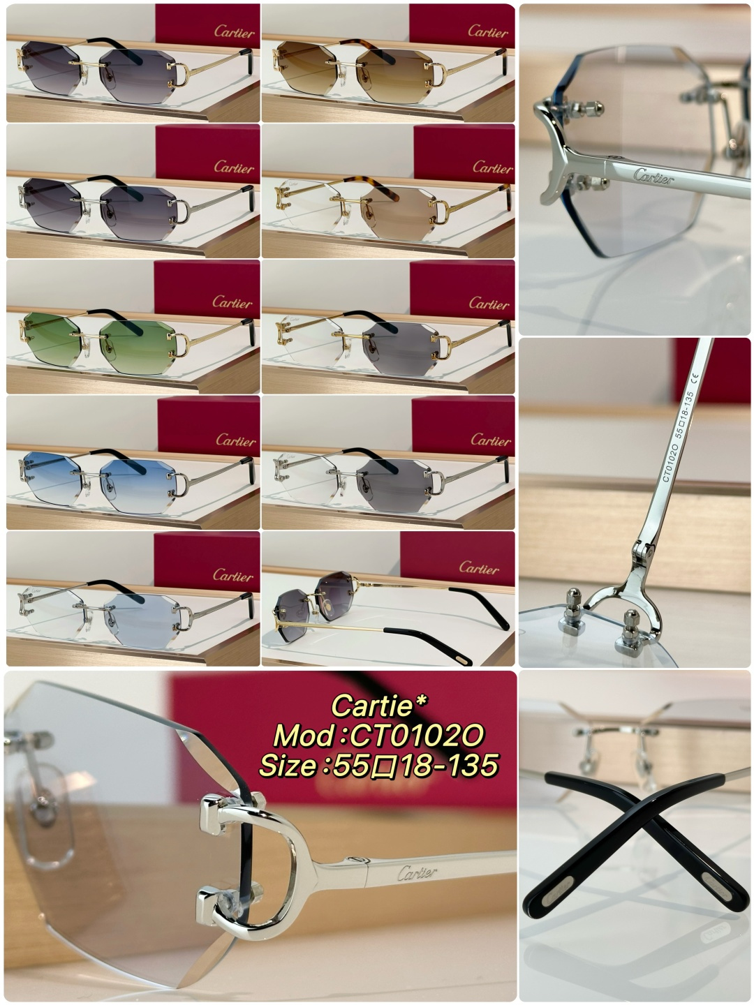 Designer Sunglasses CT0102O