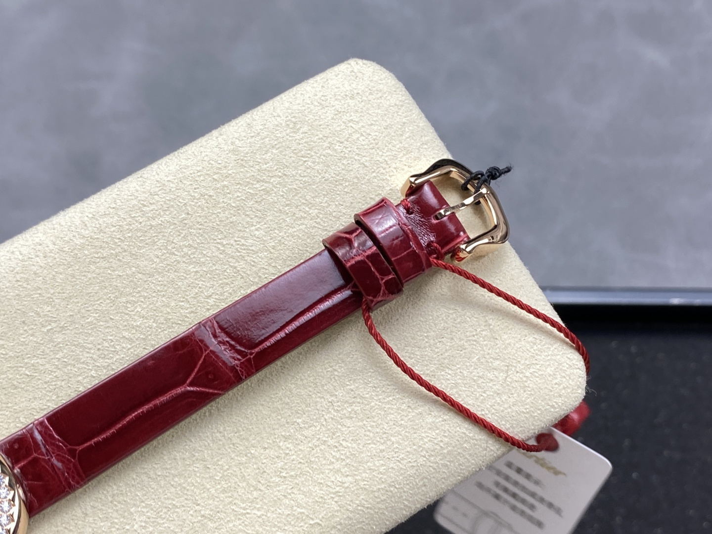 cmp i1745345465098 4845 0 7