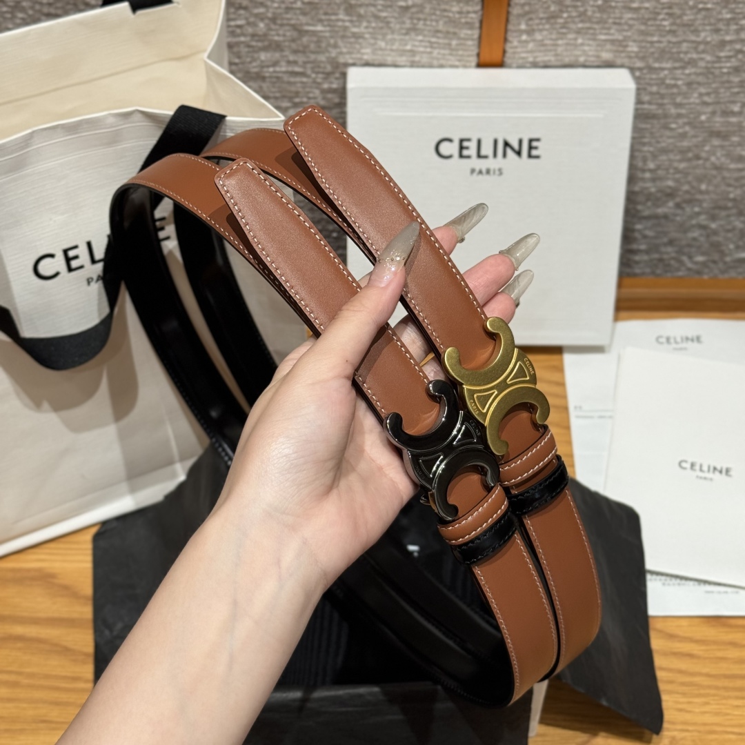 Celine Triomphe Reversible Belt 25 mm with Removable Buckle - Versatile Style 4 cmp i1752926238053 8377 0 6