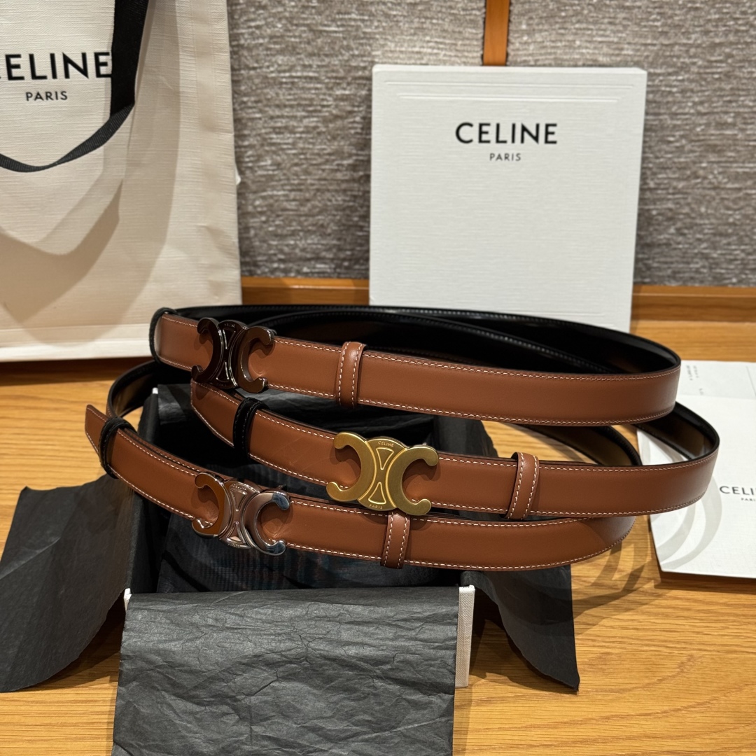 Celine Triomphe Reversible Belt 25 mm with Removable Buckle - Versatile Style 6 cmp i1752926239147 3533 0 0